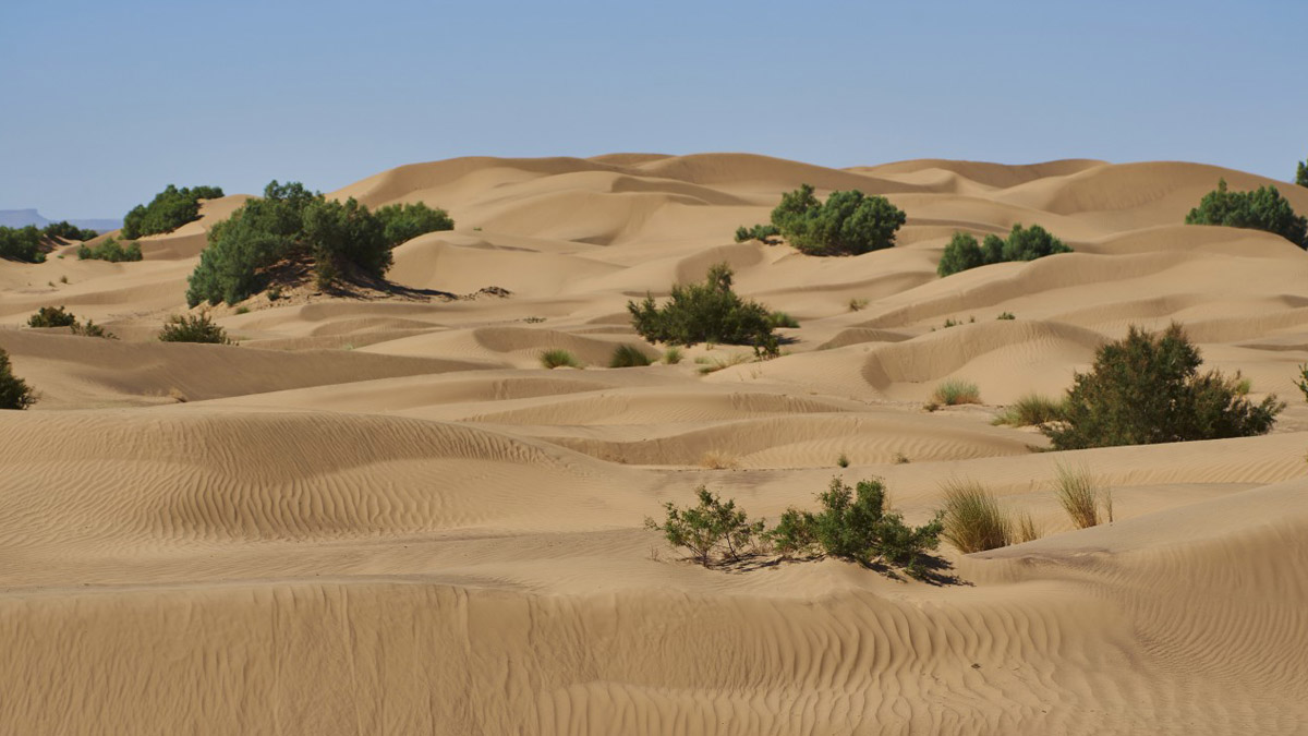 deserto marruecos Maroc Challenge